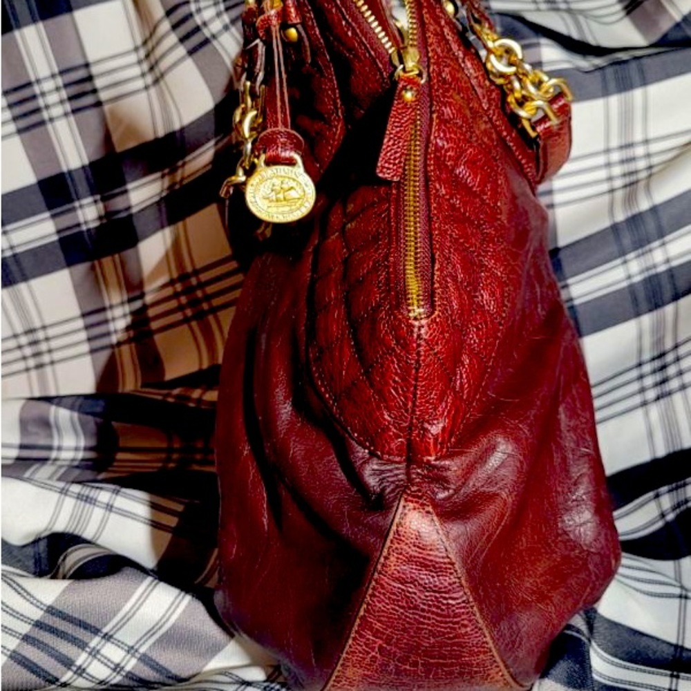 Brahmin - Picture 3 of 6